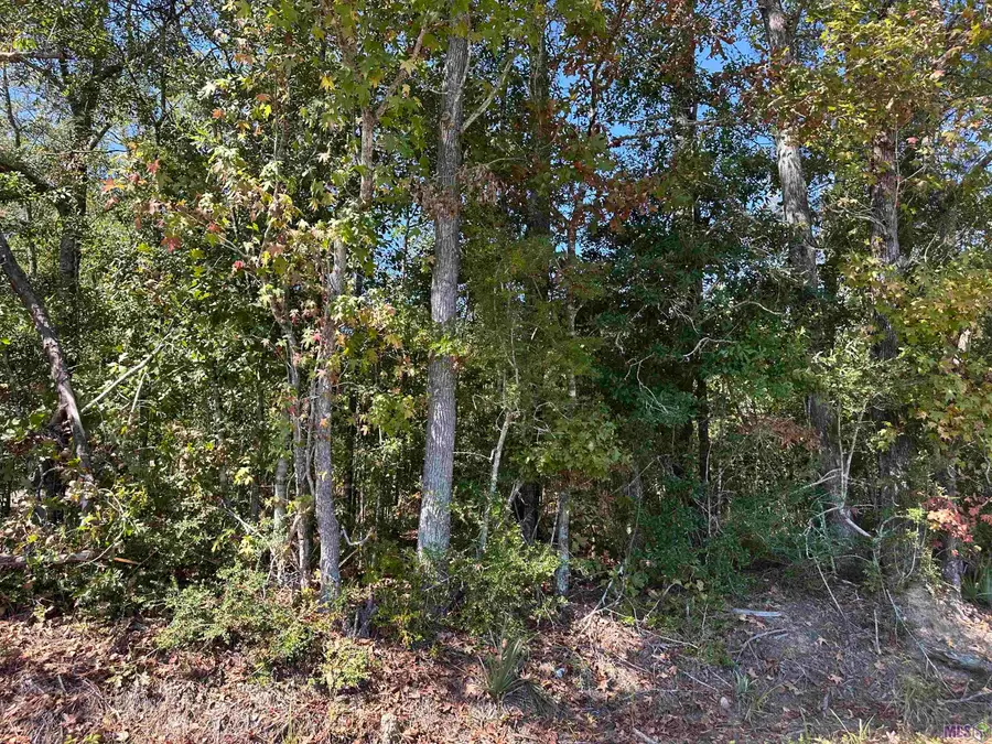 18943 Austin St, Springfield, LA 70462 - #3