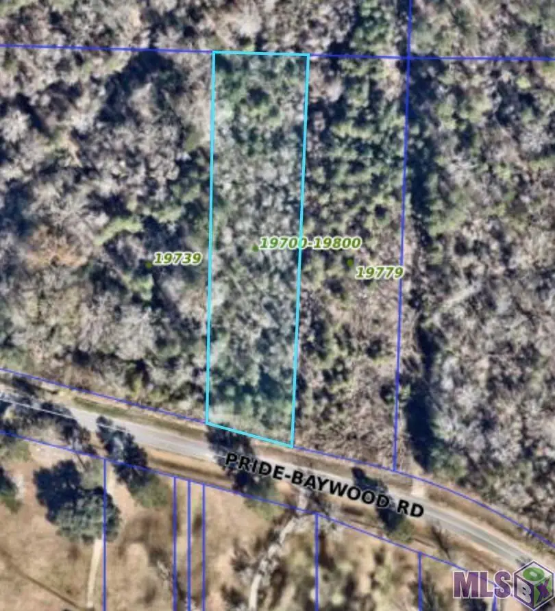 19759 Pride-baywood Rd, Greenwell Springs, LA 70739 - #1