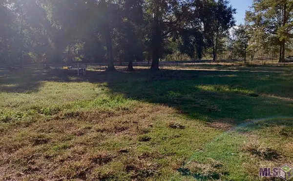 38707 John Lanier Rd, Walker, LA 70785