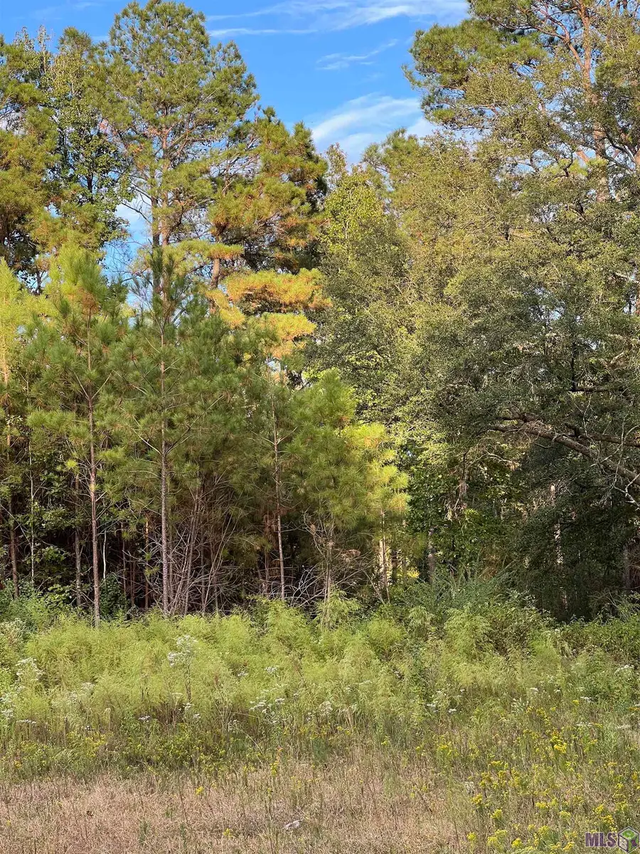 TBD La Hwy 63, Clinton, LA 70722 - #2