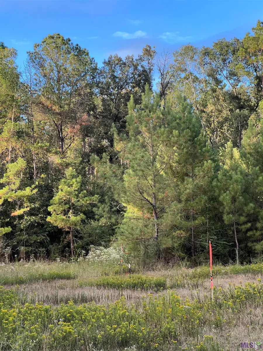 TBD La Hwy 63, Clinton, LA 70722 - #3