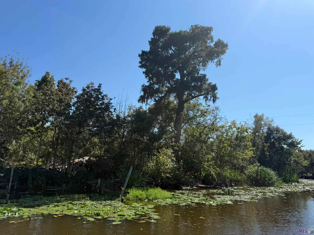 660 Alligator Bayou (by Boat), Maurepas, LA 70449 - #1