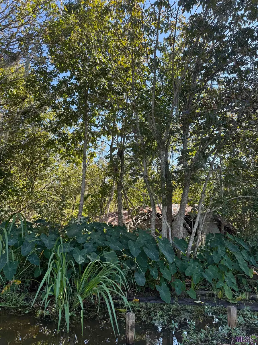 660 Alligator Bayou (by Boat), Maurepas, LA 70449 - #2