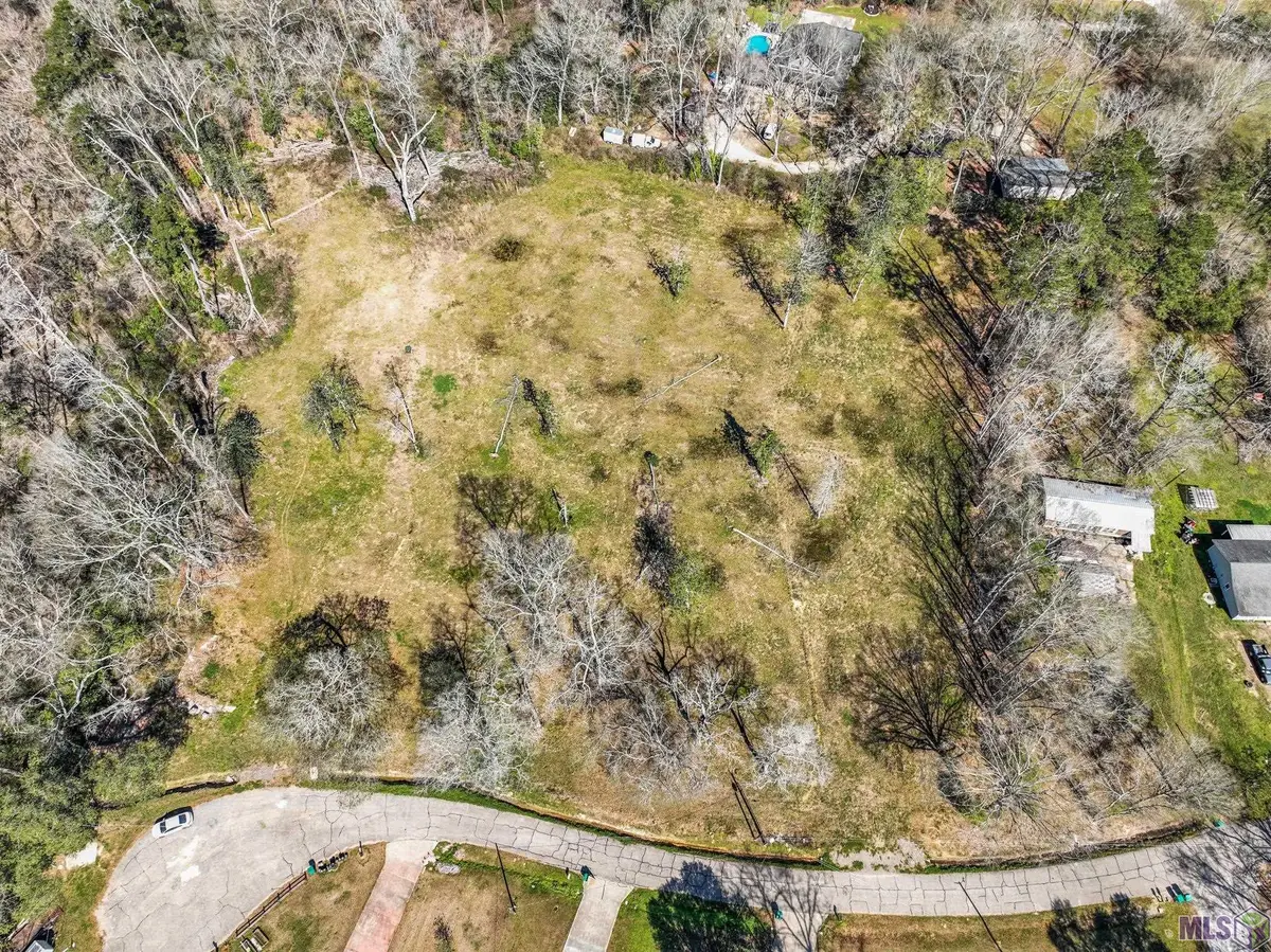 6987 Chandler Bluff Rd, Denham Springs, LA 70706 - #1