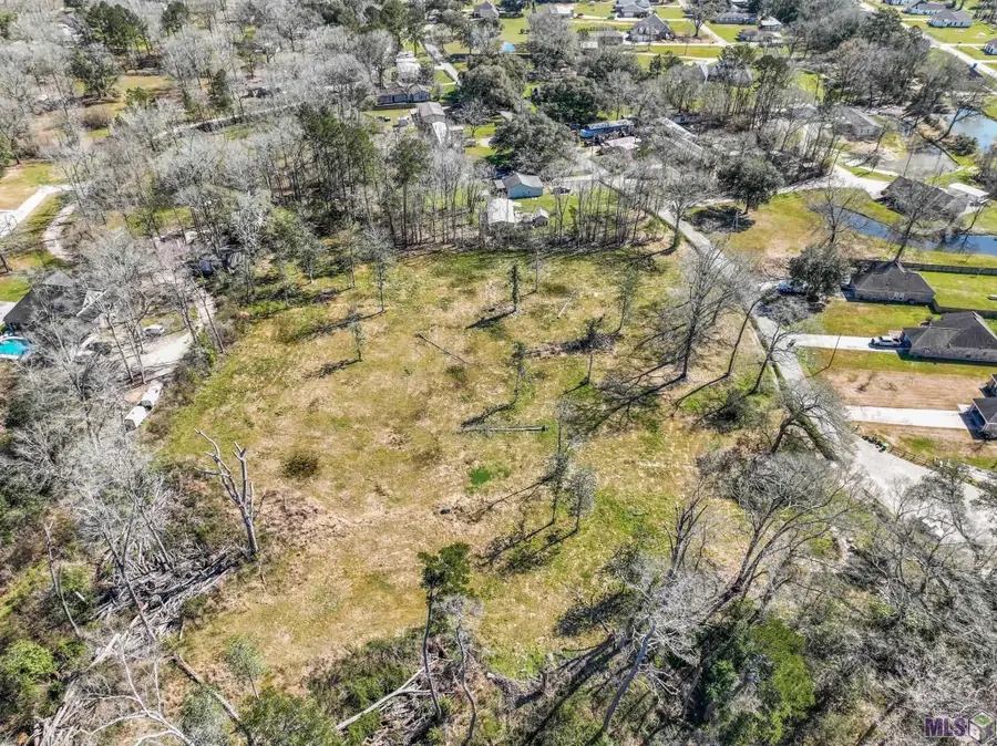 6987 Chandler Bluff Rd, Denham Springs, LA 70706 - #3