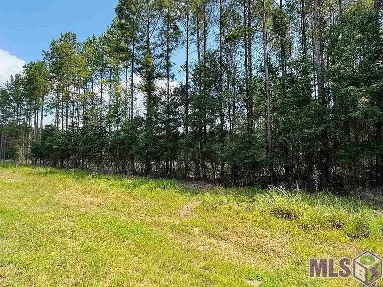 Lot 4 La Hwy 449, Pine Grove, LA 70453 - #1