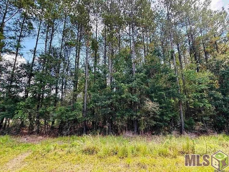 Lot 4 La Hwy 449, Pine Grove, LA 70453 - #3