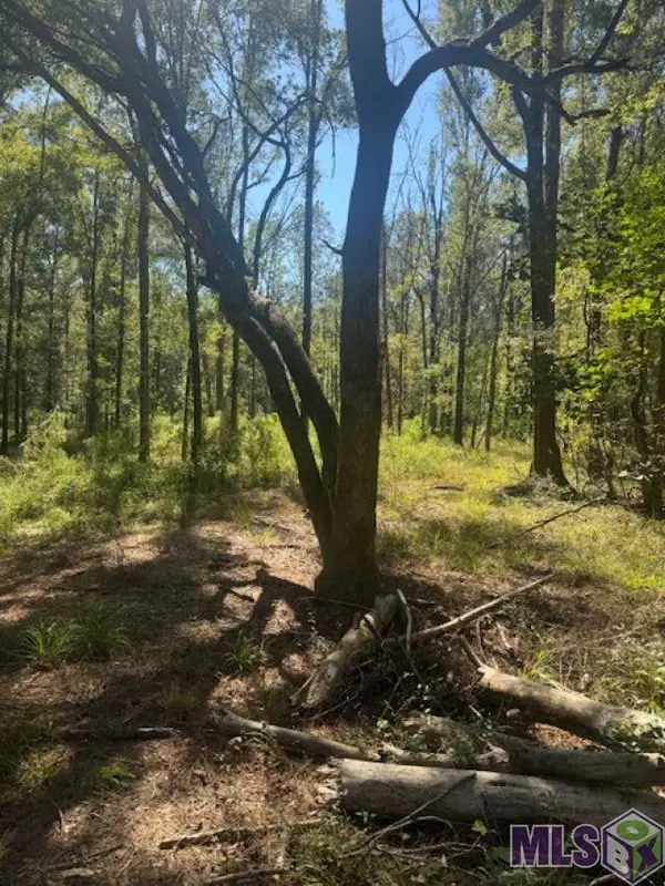 Otto Odom Cir, Denham Springs, LA 70706