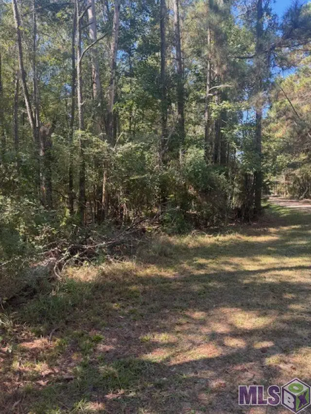 Otto Odom Cir, Denham Springs, LA 70706 - #3