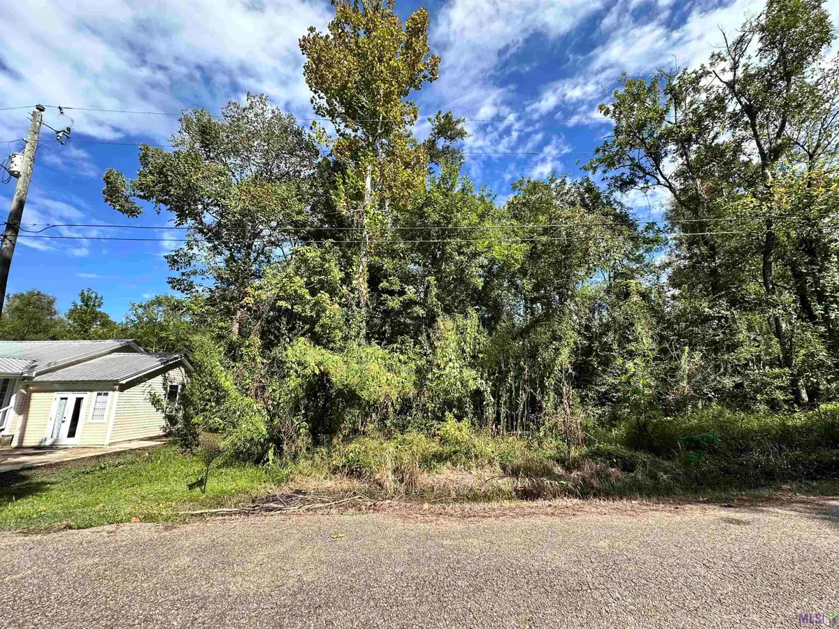 Lot # 78 Phillips Rd, Saint Amant, LA 70774 - #1