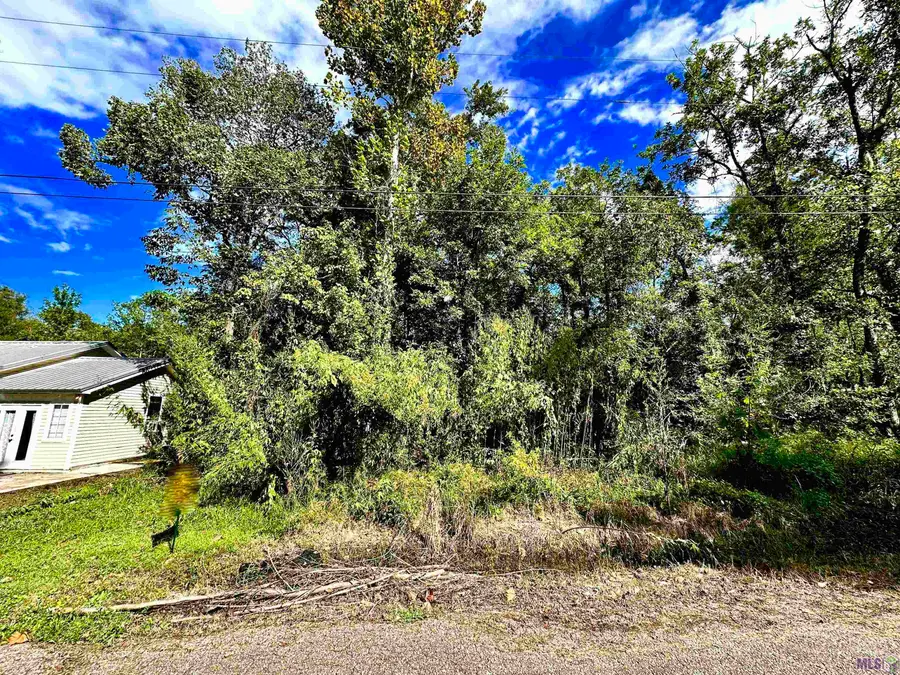 Lot # 78 Phillips Rd, Saint Amant, LA 70774 - #3