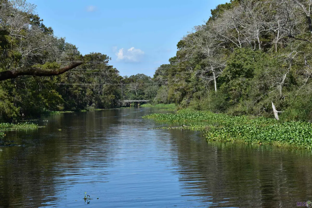 17206 La Hwy 431, Prairieville, LA 70769 - #1