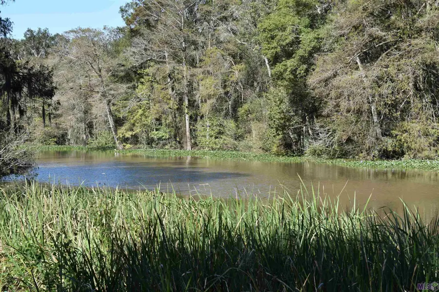 17206 La Hwy 431, Prairieville, LA 70769 - #2