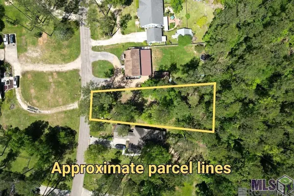 31531 River Pines Dr, Springfield, LA 70462