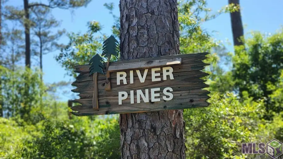 31531 River Pines Dr, Springfield, LA 70462 - #2