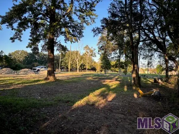 16393 Stewart Rd, Prairieville, LA 70769