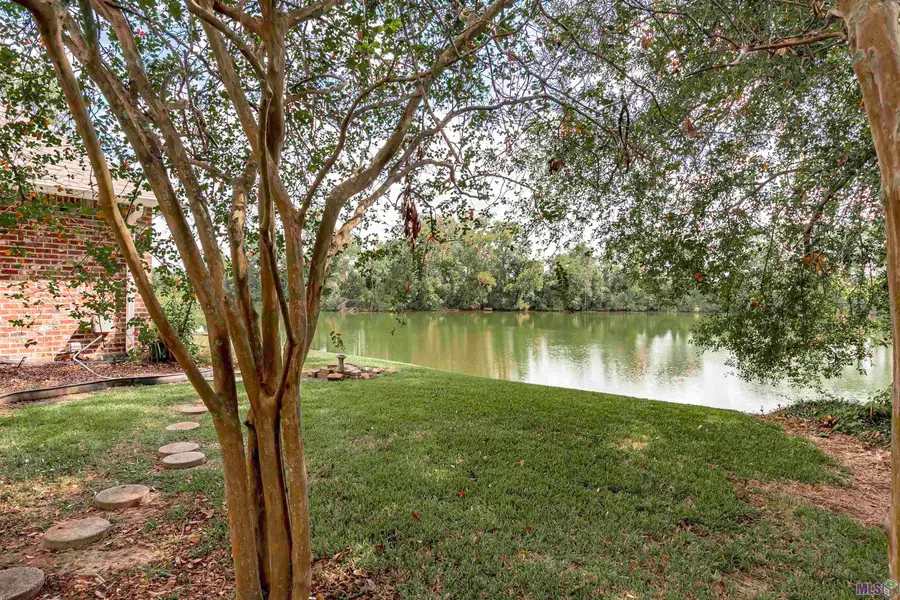 14436 Patin Dyke Rd, Ventress, LA 70783 - #2