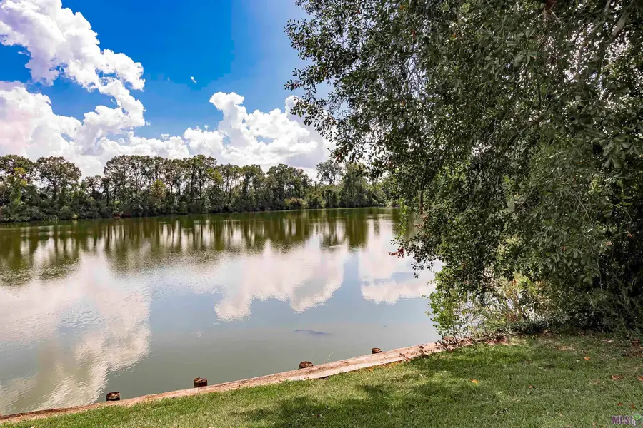 14436 Patin Dyke Rd, Ventress, LA 70783 - #3