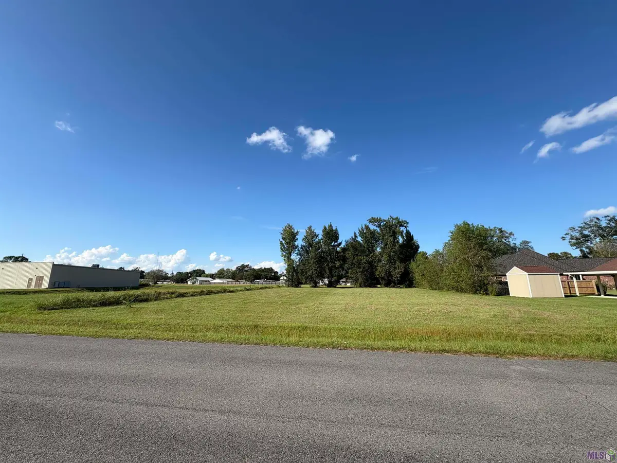 TBD E Hidden Haven Ave, Gonzales, LA 70737 - #1