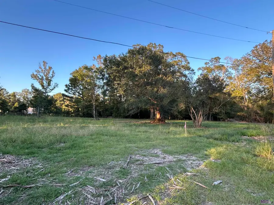 B-7 Eathern Martin Rd, Livingston, LA 70754 - #2