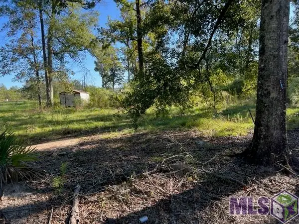 29960 Henderson Ln, Walker, LA 70785