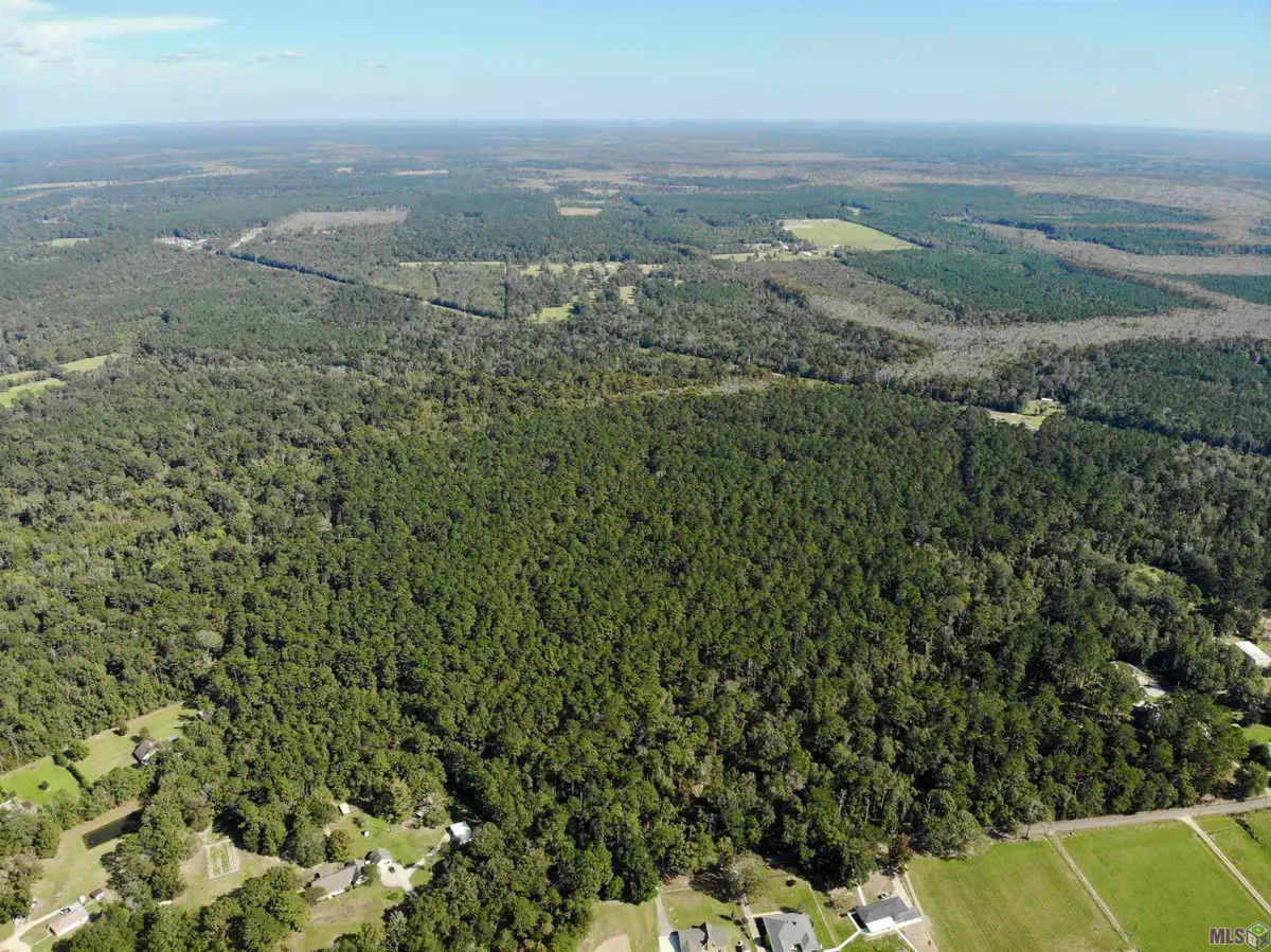 TBD Guitreau Rd, Livingston, LA 70754 - #1