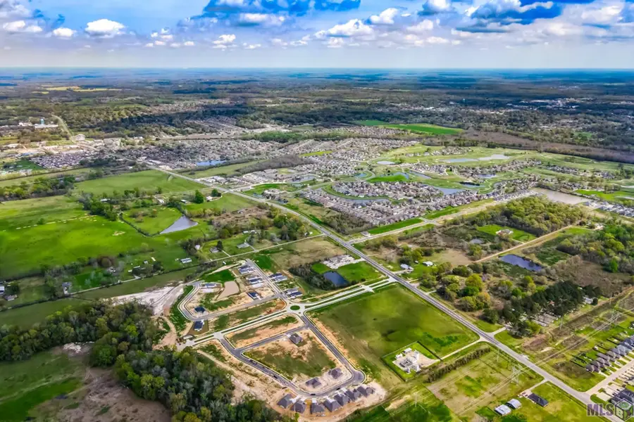 18966 Pharlap Way, Zachary, LA 70791 - #2