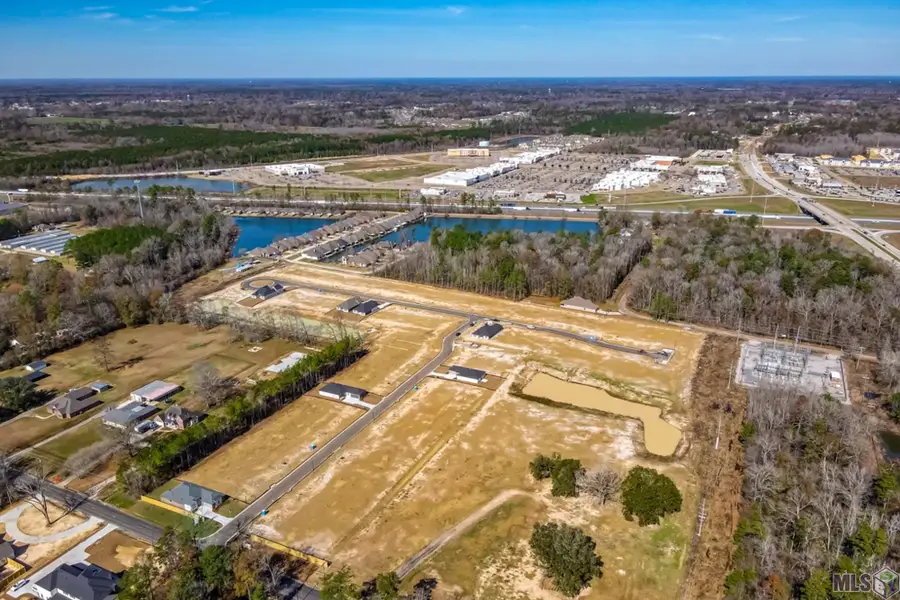 10674 Deric Ave, Denham Springs, LA 70726 - #3