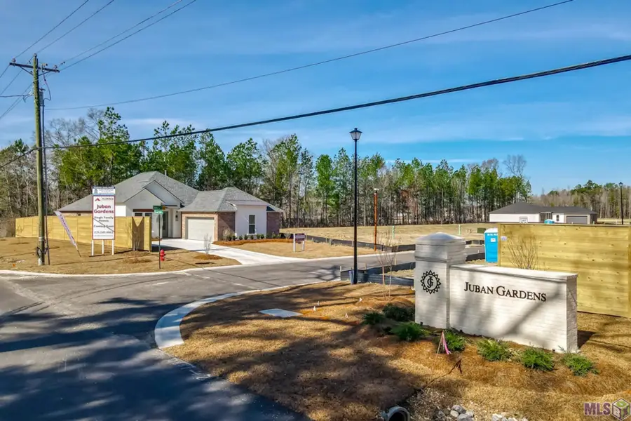 10651 Deric Ave, Denham Springs, LA 70726 - #2