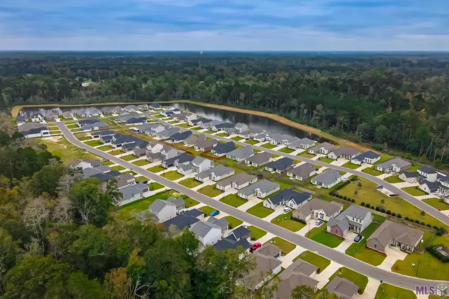25293 Burlington Dr, Denham Springs, LA 70726 - #3