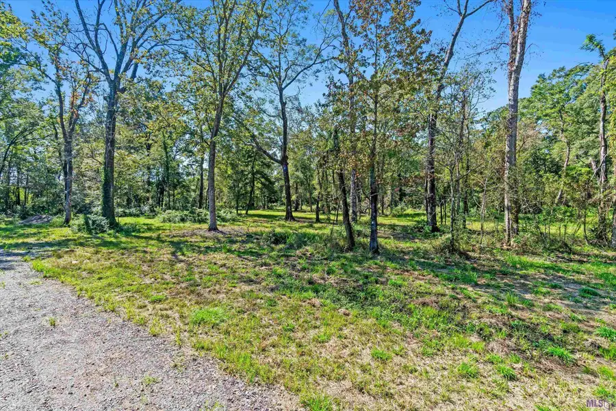 8725 Flanagans Way, Central, LA 70739 - #3