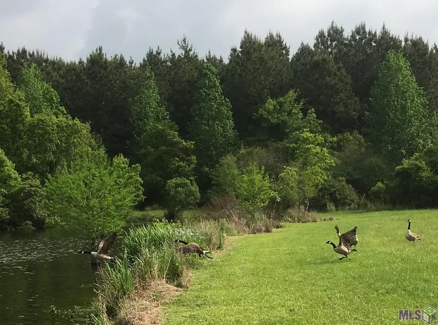 B-1-A Old Scenic Hwy, Zachary, LA 70791 - #2