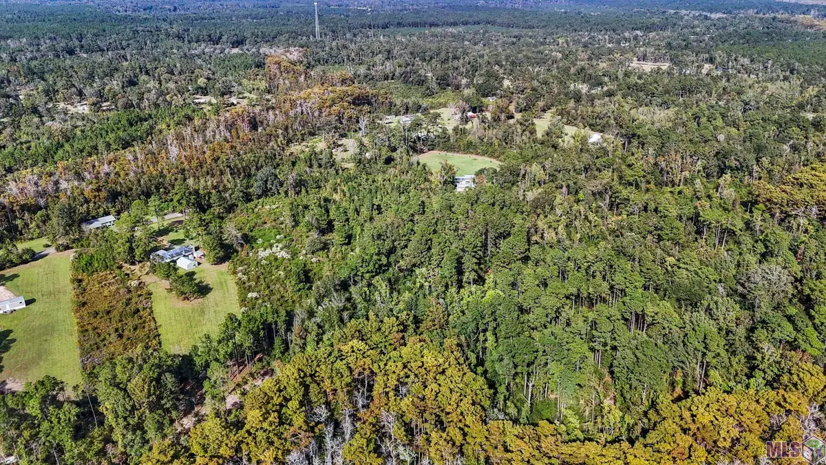 29814 Lower Rome Rd, Springfield, LA 70462 - #1