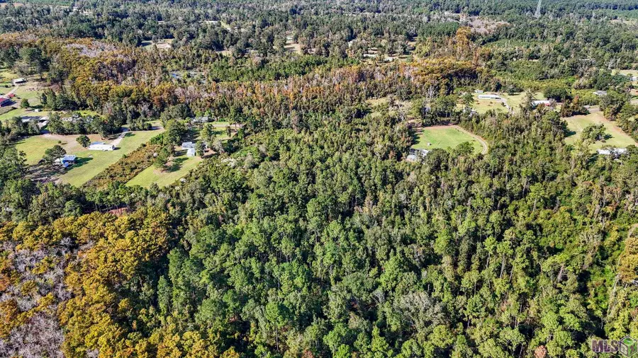 29882 Lower Rome Rd, Springfield, LA 70462 - #2