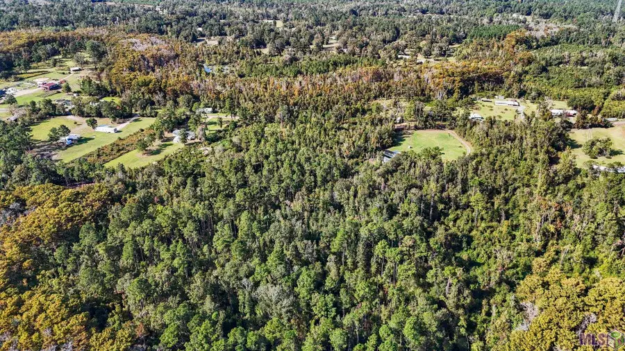 29882 Lower Rome Rd, Springfield, LA 70462 - #3