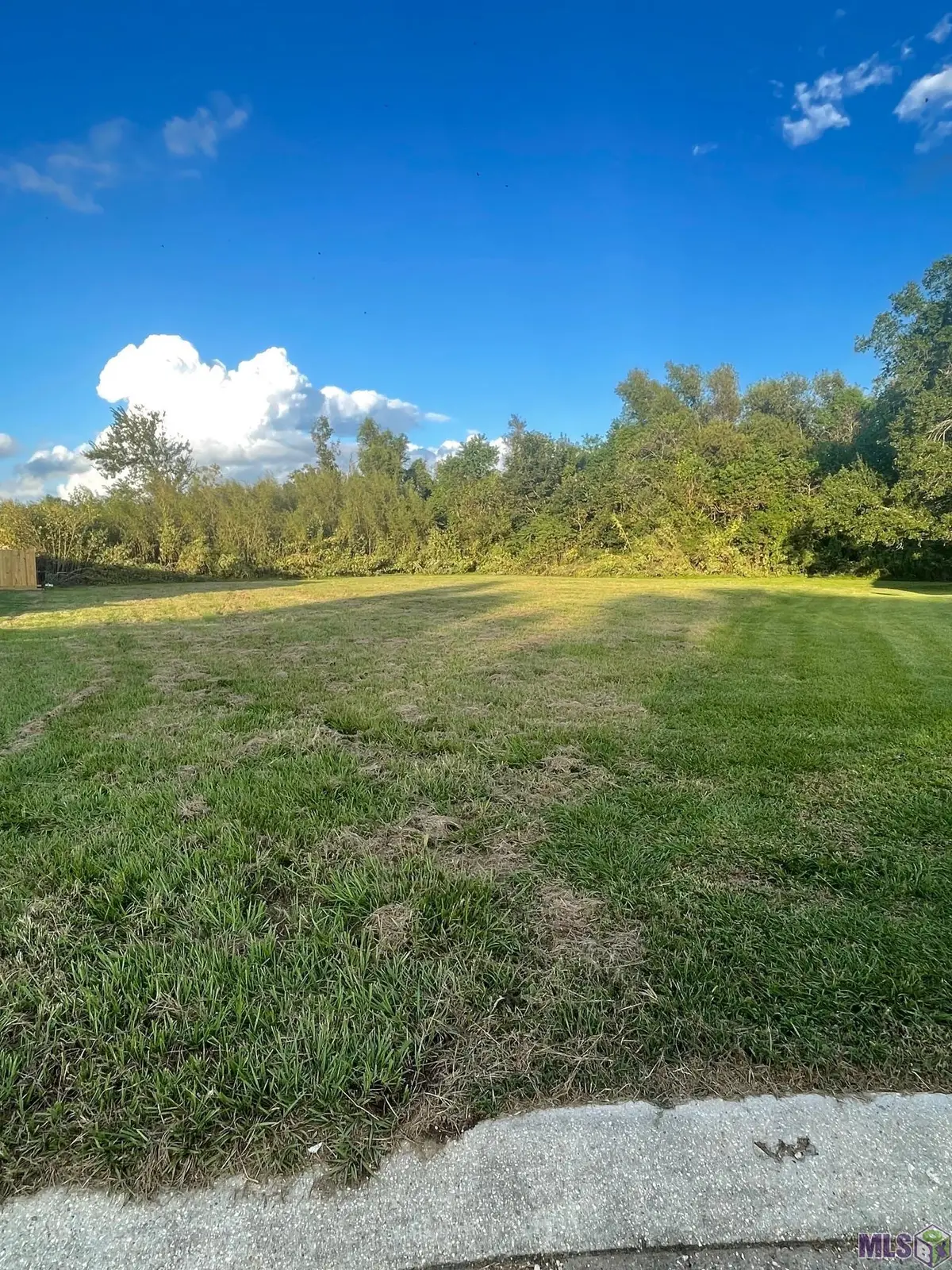 784 Emma Dr, Reserve, LA 70084 - #1