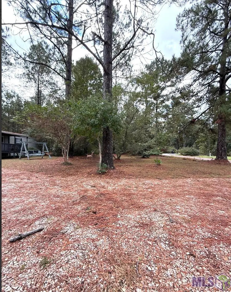70354 Ravine Street, Abita Springs, LA 70420 - #2