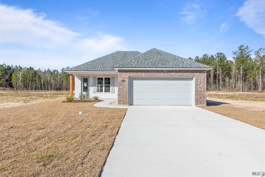 24184 Sharp Shinned Drive, Denham Springs, LA 70726 - #2