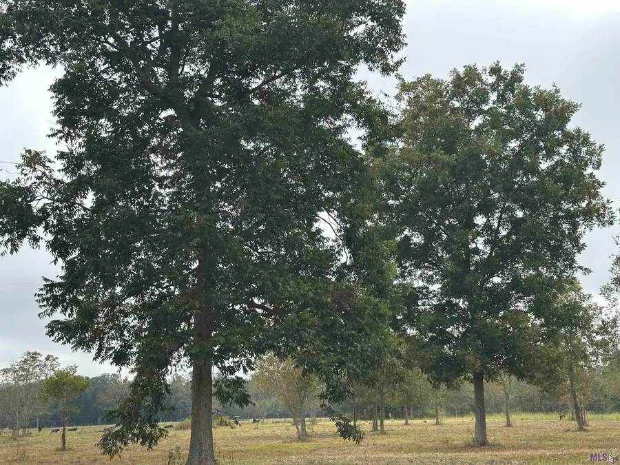 8874 Elton St, Livonia, LA 70755 - #2