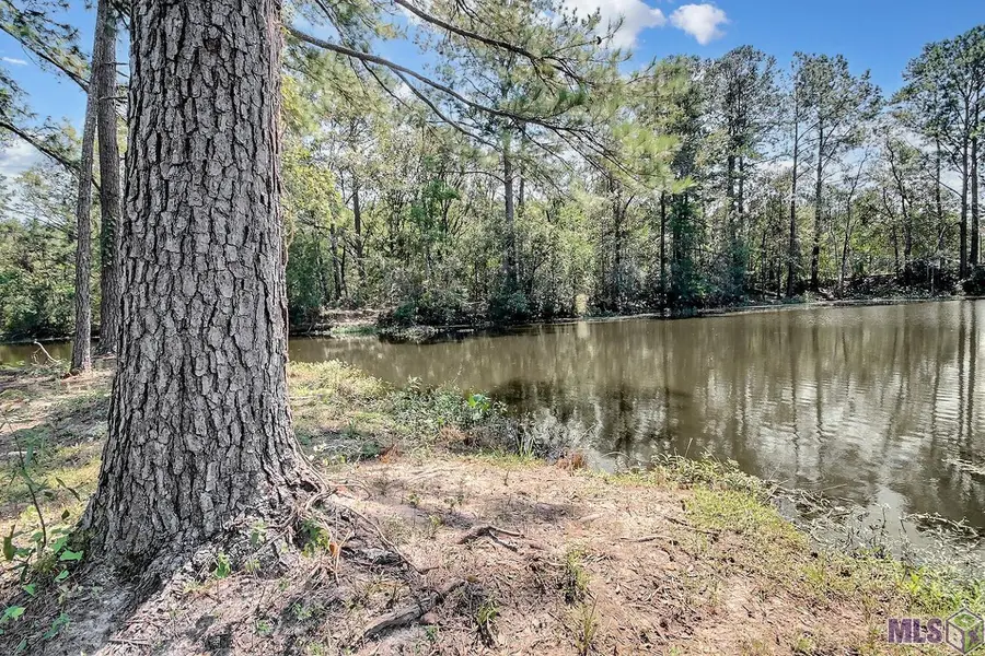 Lakeland Blvd, Denham Springs, LA 70726 - #3