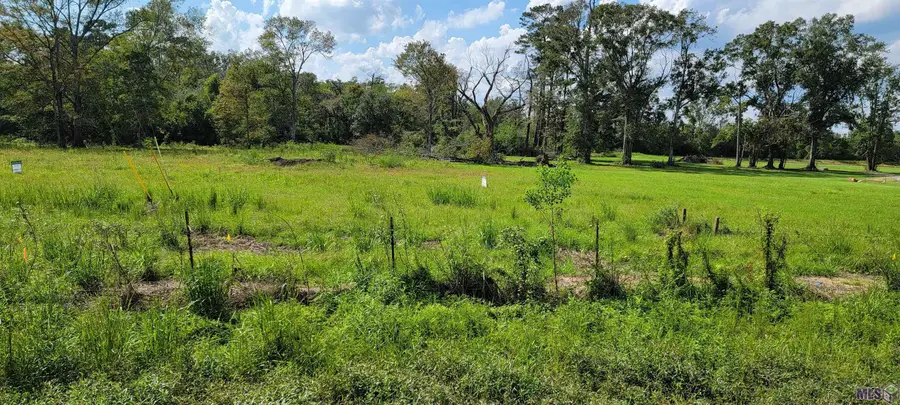 15405 La Hwy 931, Prairieville, LA 70769 - #3