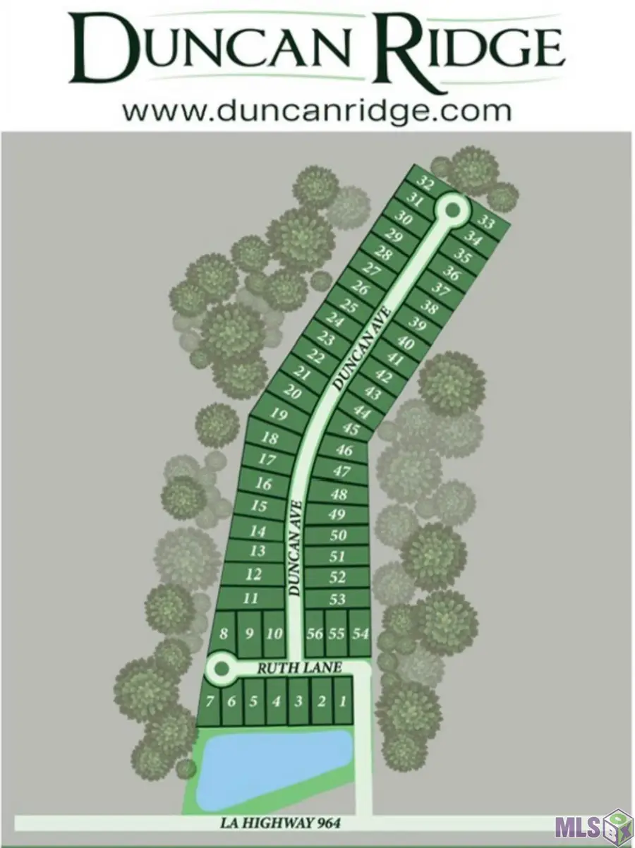 Lot 2 Ruth Ave, Jackson, LA 70748 - #3