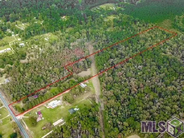 22256 Walker South Rd, Denham Springs, LA 70726 - #1
