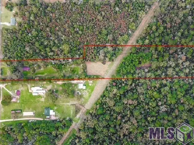 22256 Walker South Rd, Denham Springs, LA 70726 - #2