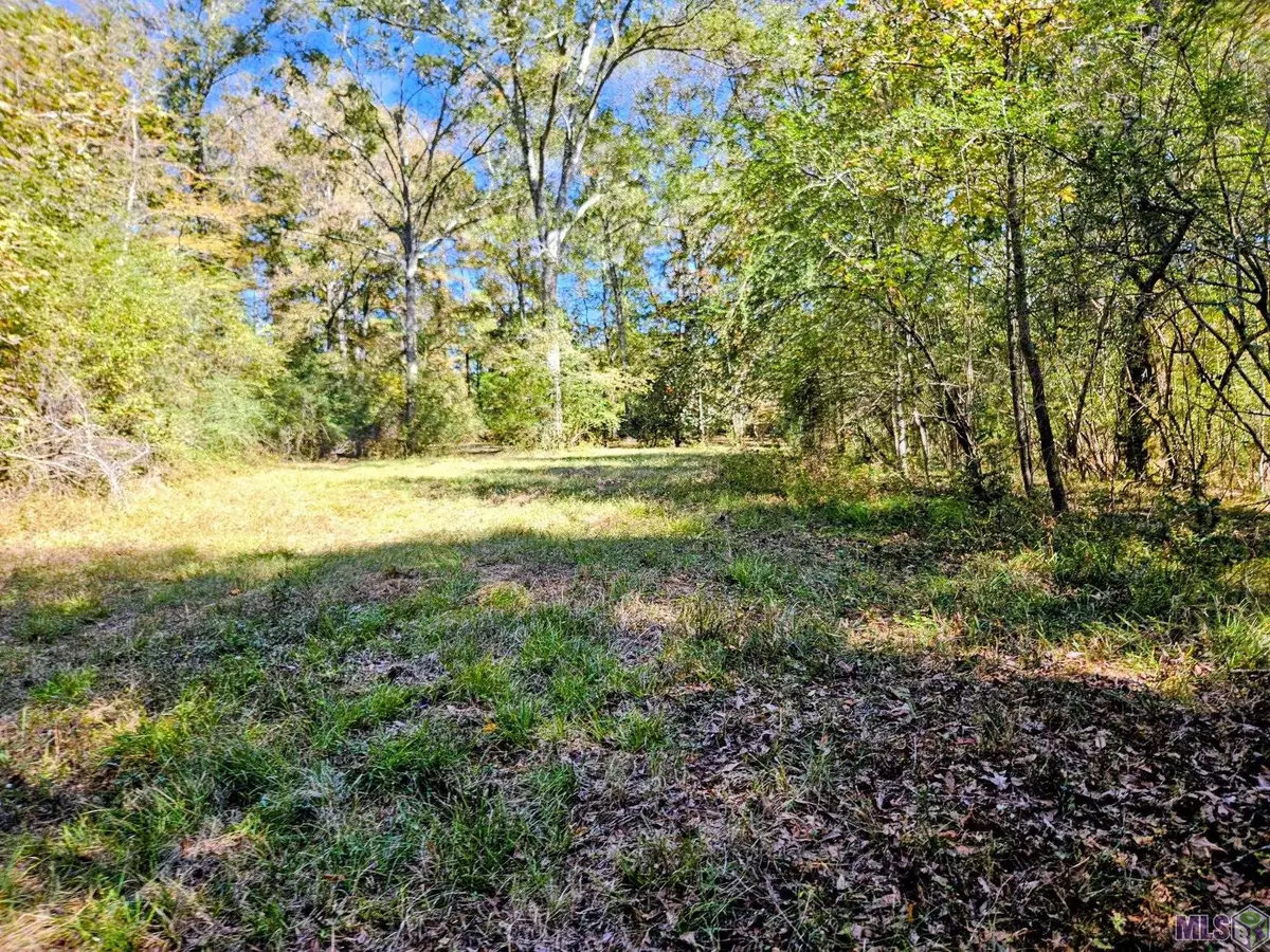 9887 Tunica Trace, Saint Francisville, LA 70775 - #1