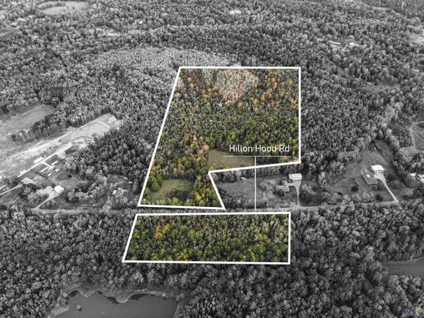 27+- Acres Hillon Hood Rd, Denham Springs, LA 70726