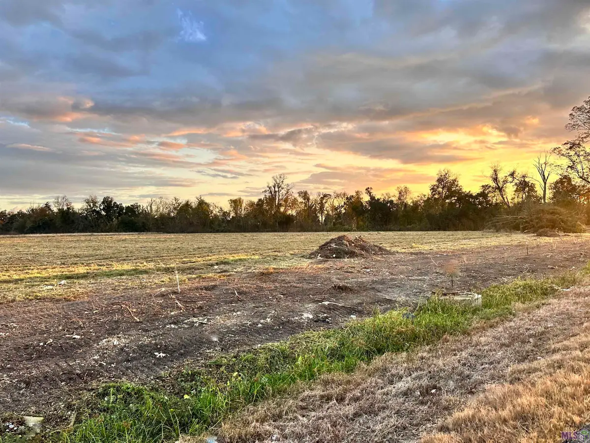 Lot #4 La Hwy 22, Darrow, LA 70725 - #1