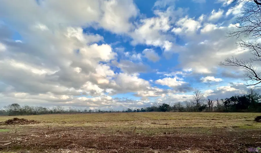 Lot #5 La Hwy 22, Darrow, LA 70725 - #3