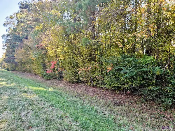 9853 Tunica Trace, St. Francisville, LA 70775