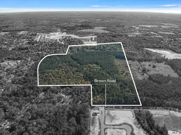 141.35 acres Brown Rd, Denham Springs, LA 70726